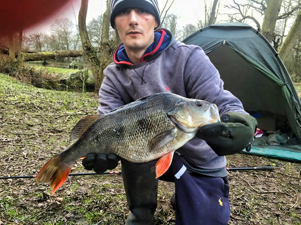 giant perch to carp angler.jpg